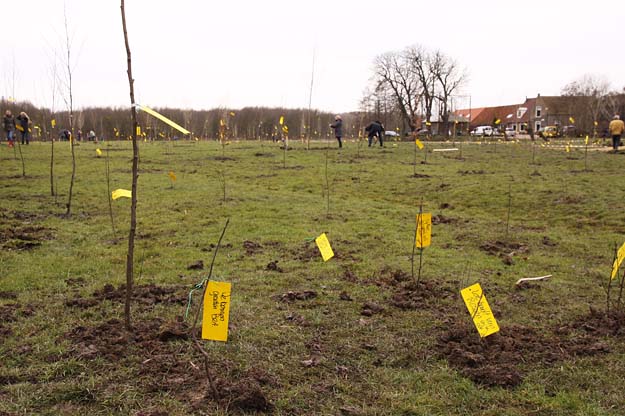 Tweede Volksbos tegen Blankenburgtunnel aangelegd - 16 maart 2013